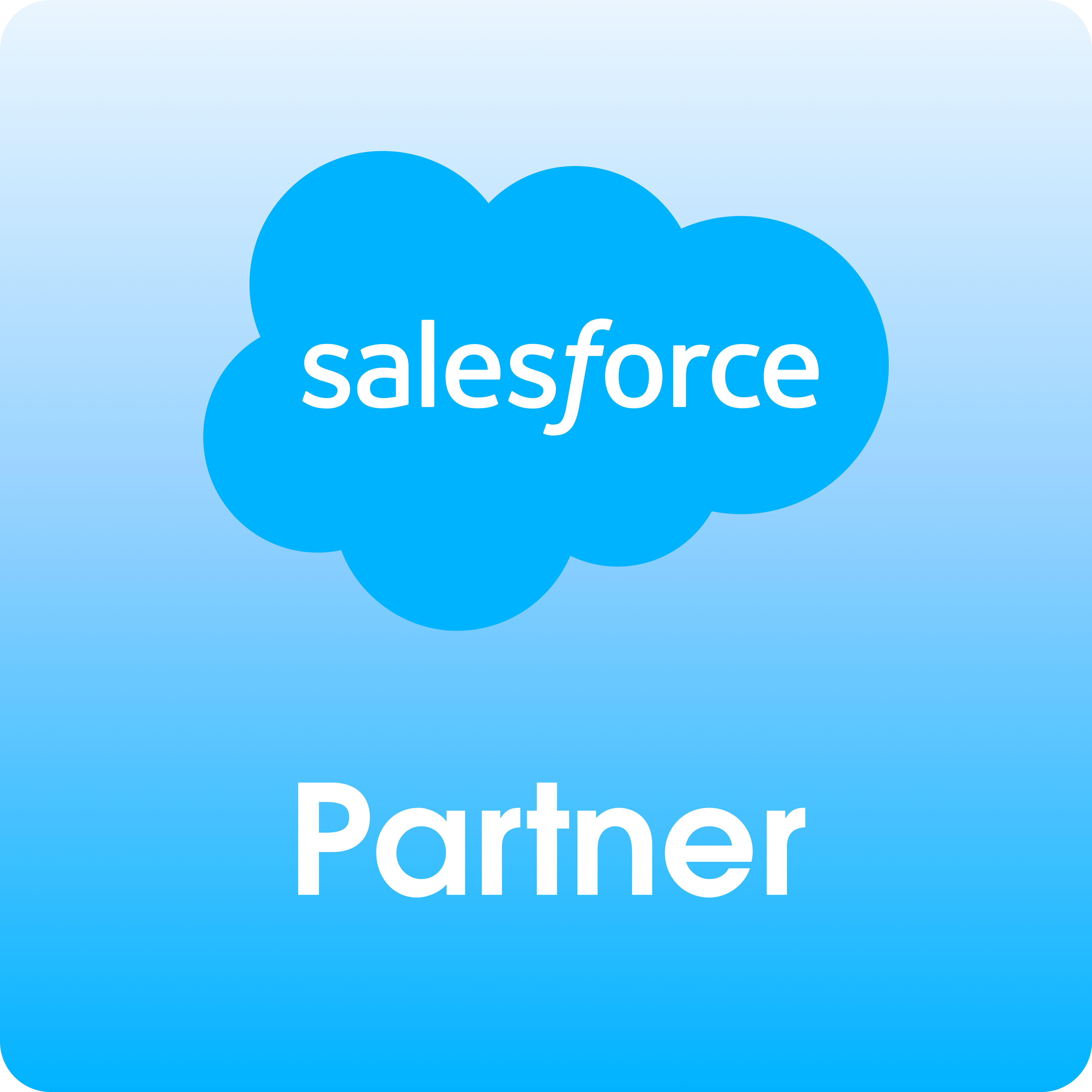 Salesforce Partner badge